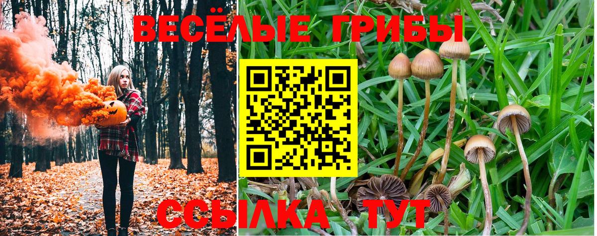 Галлюциногенные грибы прущие грибы  Вход с VPN  Фролово 