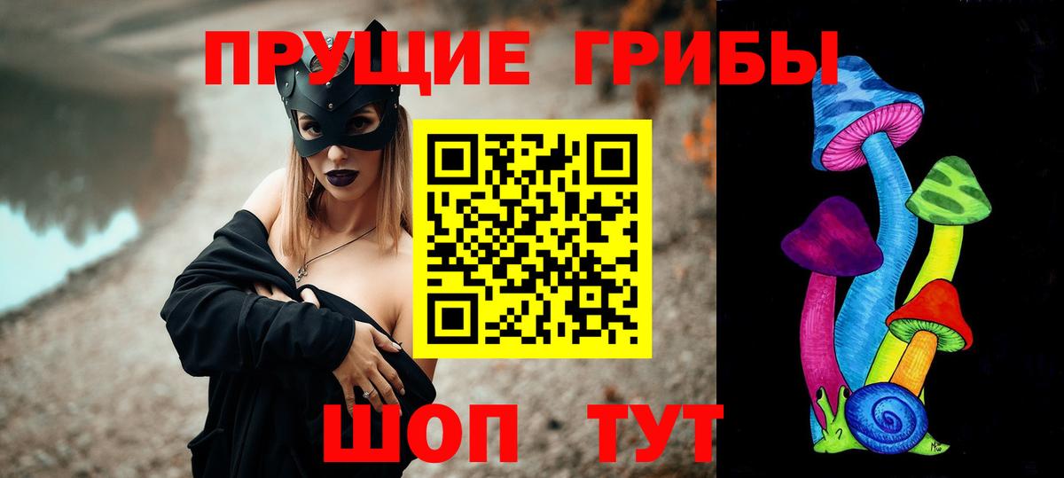 Псилоцибиновые грибы мицелий Фролово
