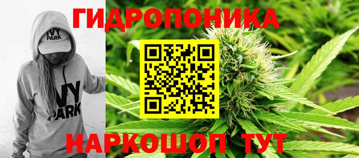 Марихуана тримм  Канабис план  Вход с VPN  Фролово 